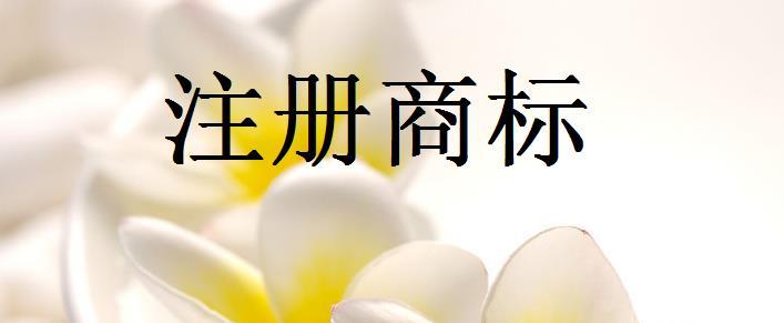 商標注冊前需要注意哪些問題？