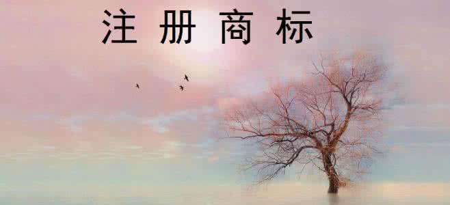 企業申請特殊標志商標都需要哪些資料？